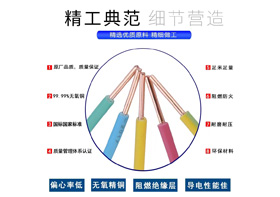 WDZB-BYJ 型號(hào)：0.75mm²²～240mm²²