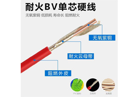 ZCN-BV 型號(hào)：0.75mm²²～240mm²²